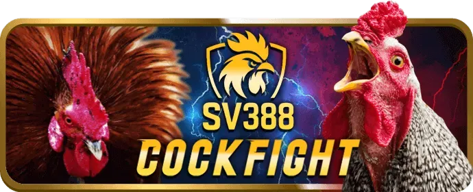 Chuyên gia Win5506